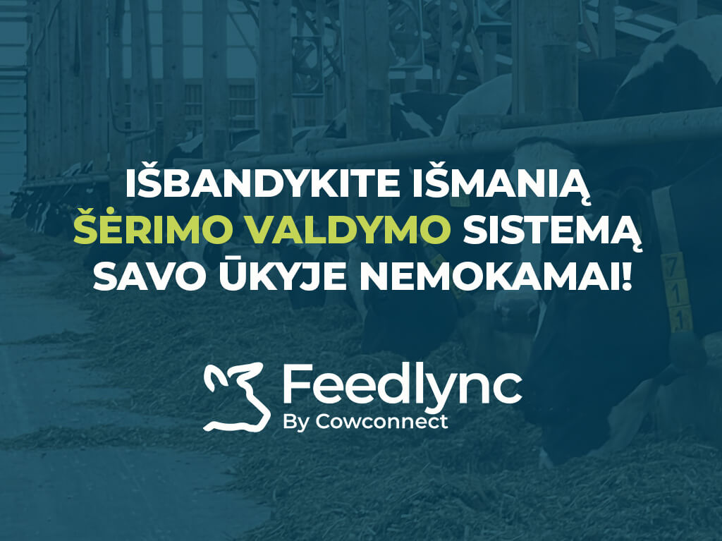 Feedlync sistema